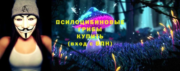 амф Арсеньев