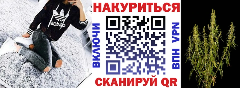 Бошки Шишки план  дарк нет какой сайт  Строитель 